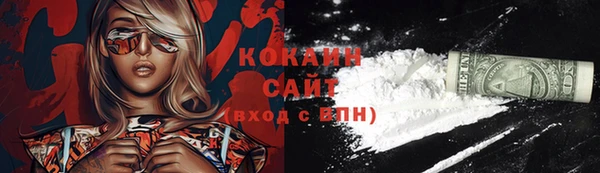 прущие грибы Покровск